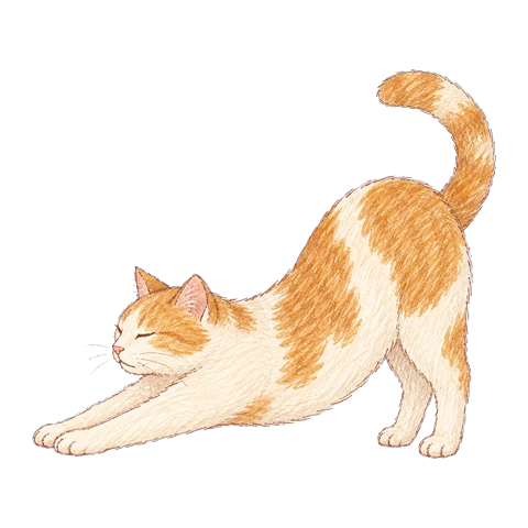 기지개 켜는 고양이 그림