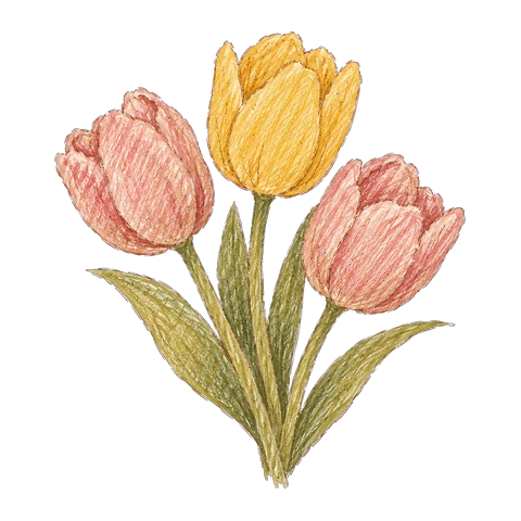 튤립 그림
