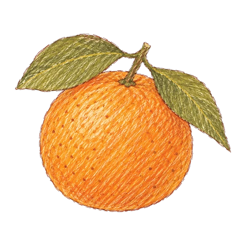 귤 그림